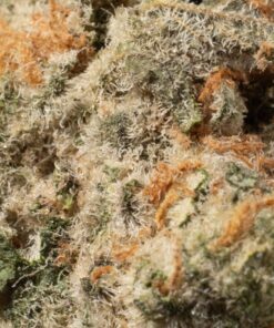 London Poundcake (AAA) - Image 5