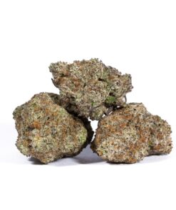 Headband (AAAA) Promo - Image 5