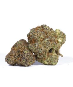 Jelly Breath (AAAA+) - Image 1