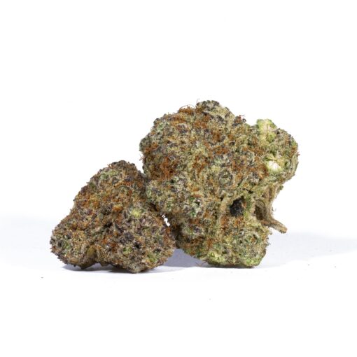 JELLY-BREATH-1.jpg