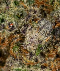 Jelly Breath (AAAA+) - Image 5