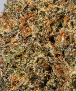 Super Silver Haze (AAA) - Image 5