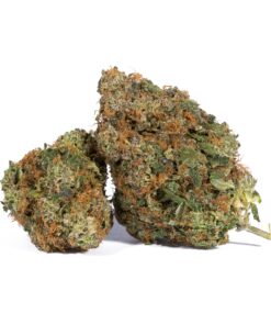 Pink Gorilla (AAA+) Promo - Image 1