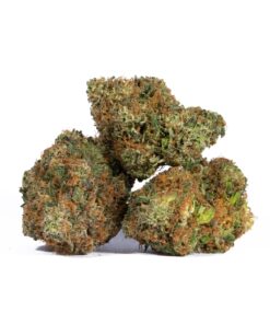 Pink Gorilla (AAA+) Promo - Image 4