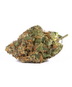 Pink Gorilla (AAA+) Promo - Image 5