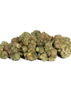 Pink Gorilla (AAA+) Promo - Image 2