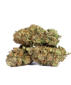Tropicana Haze (AAAA) - Image 3