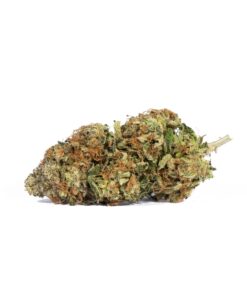 Tropicana Haze (AAAA) - Image 2