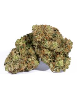 Unicorn Poop (AAA+) Promo - Image 1