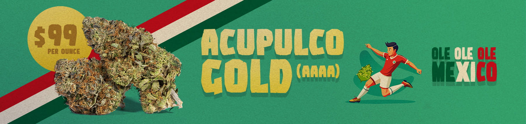 acupulco-promo-banner