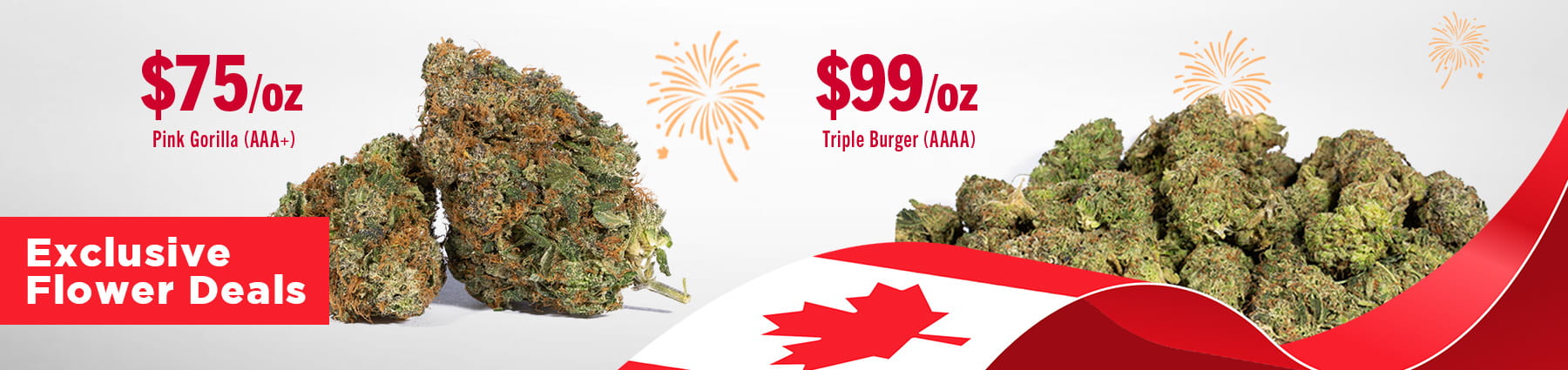 flower-promos-promo-banner