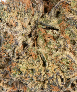 Da Funk (AAA) - Image 5