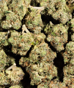 Acapulco Gold (AA+) - Image 4