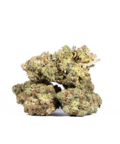 Acapulco Gold (AA+) - Image 3