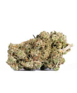 Acapulco Gold (AA+) - Image 2