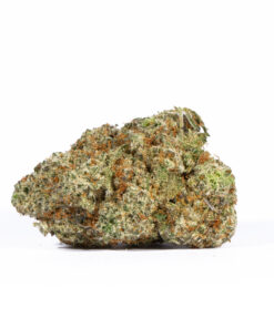Alien OG (AAAA) - Image 3