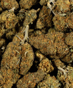 Aurora Haze (AA) - Image 5