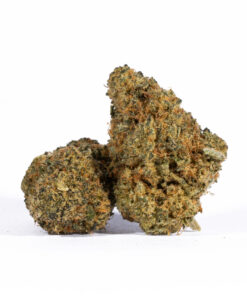 Aurora Haze (AA) - Image 1