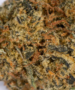 Aurora Haze (AA) - Image 4