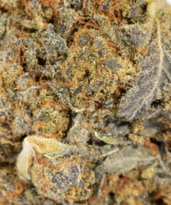 Blue Dream (AA) - Image 4