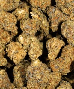 Blue Dream (AA) - Image 5