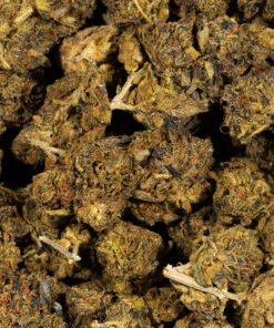 Cali Gas (AA) Promo - Image 4