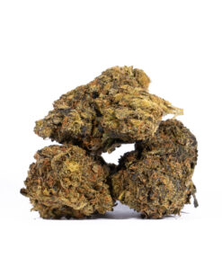 Cali Gas (AA) Promo - Image 3