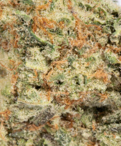 Crown Royale (AA+) - Image 4