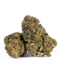 GMO Cookies (AAA) - Image 1