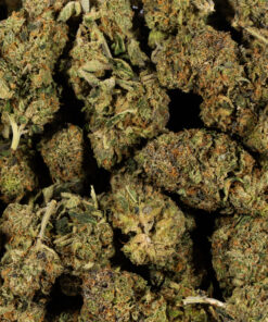 GMO Cookies (AAA) - Image 4
