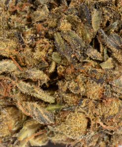 Green Crack (AA) - Image 4