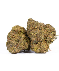 Mandarin Punch (AA) - Image 1