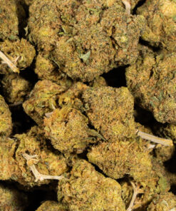 Mandarin Punch (AA) - Image 5