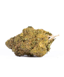 Mandarin Punch (AA) - Image 2