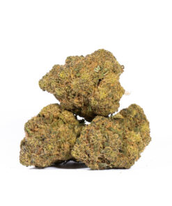Mandarin Punch (AA) - Image 3