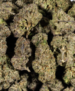 Papaya (AAAA+) - Image 4