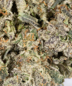 Papaya (AAAA+) - Image 5