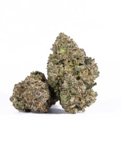Papaya (AAAA+) - Image 1