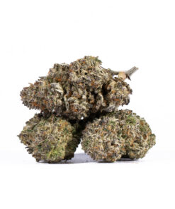 Papaya (AAAA+) - Image 3