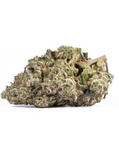 Papaya (AAAA+) - Image 2