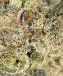 Pineapple Express Smalls (AAA+) - Image 3