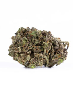 Purple Haze (AAAA) - Image 2