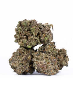 Purple Haze (AAAA) - Image 3