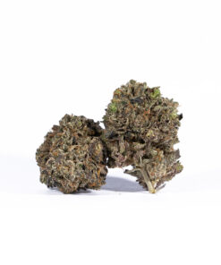 Purple Haze (AAAA) - Image 1
