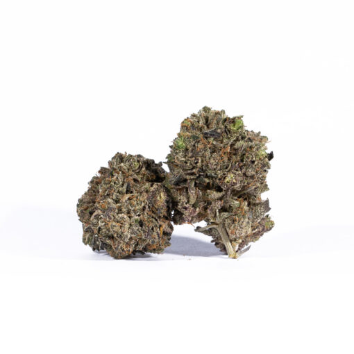 PURPLE-HAZE2.jpg