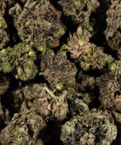 Purple Haze (AAAA) - Image 4