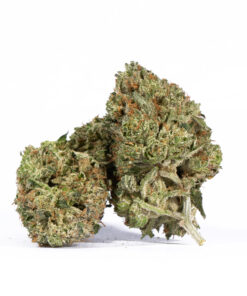 Skywalker OG (AAA)