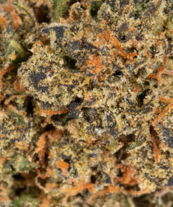 Tropic Thunder (AA+) - Image 5