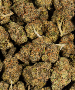 Tropic Thunder (AA+) - Image 4