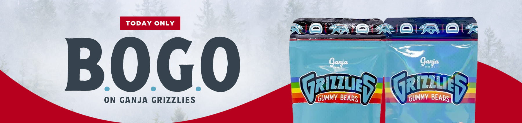 bogo-grizzlies-promo-banner